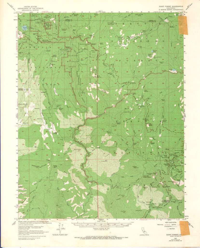 Giant Forest Calif 1956 Quad